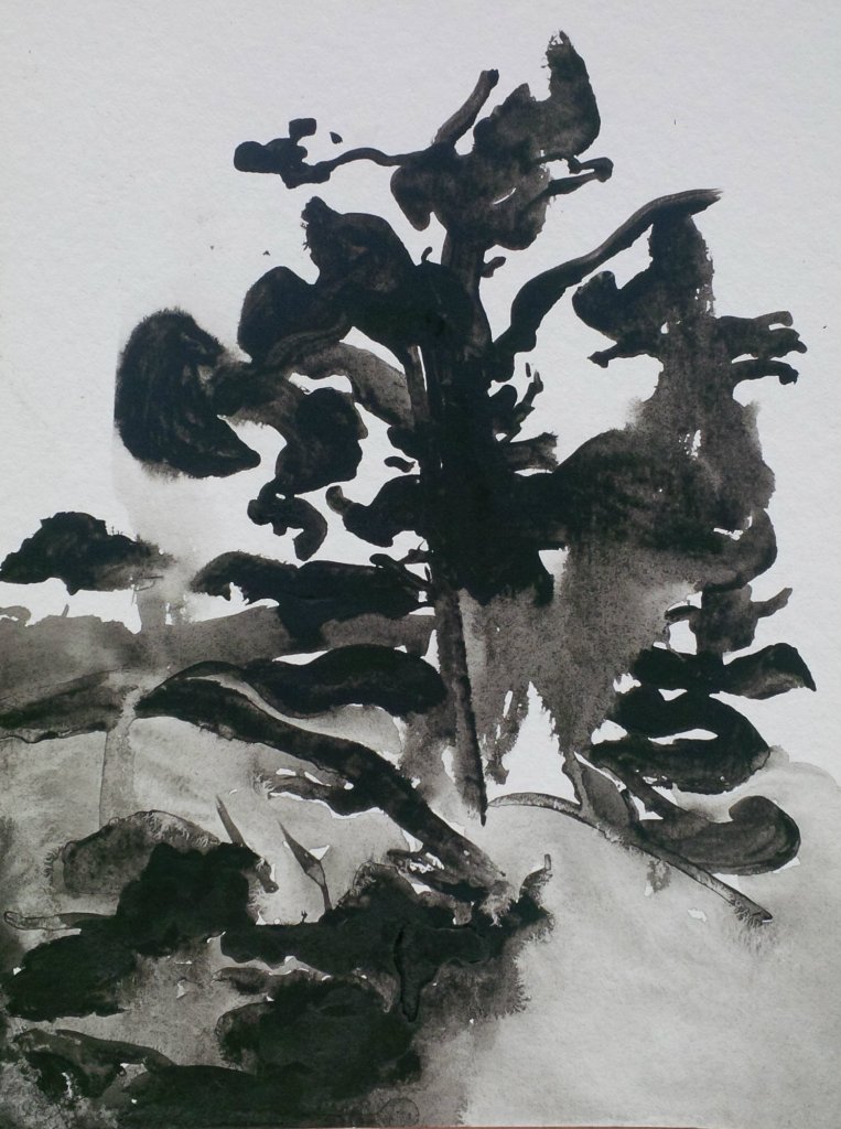 IMG_20140608_095928 (1)