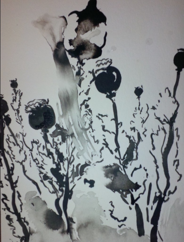 IMG_20140627_221540_edit3_edit3_edit