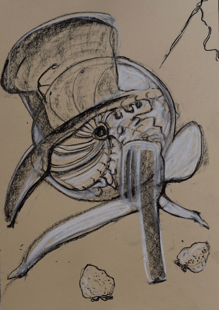 einschneidernamenszeit