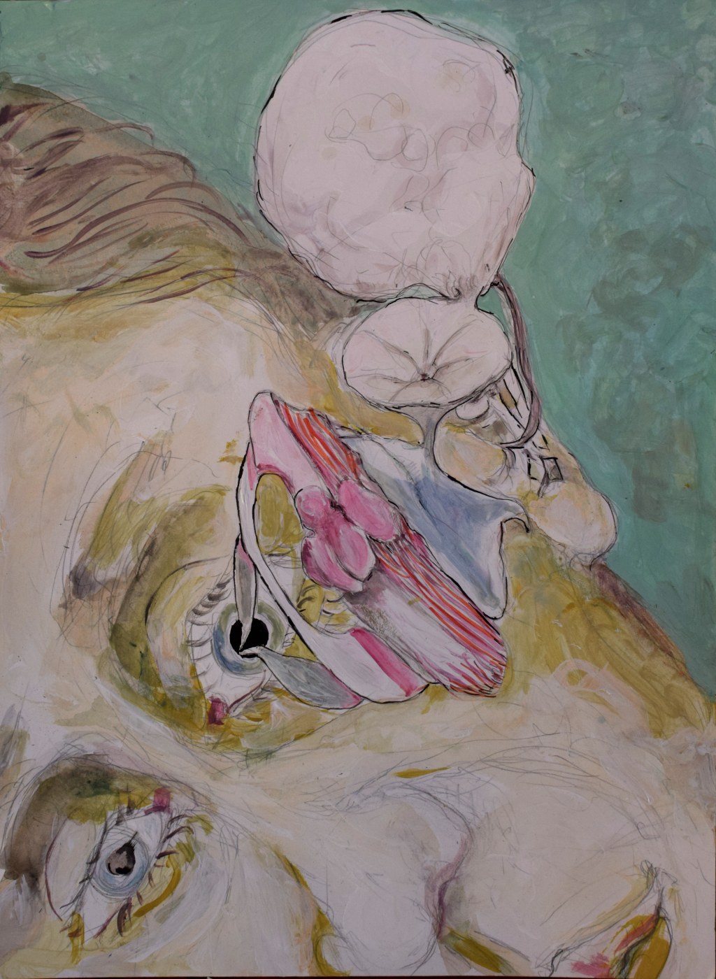 The incredible machine.