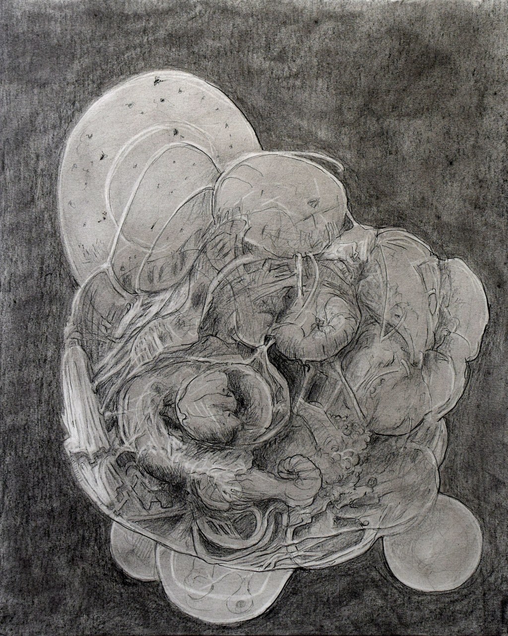 Biologische Maschine.