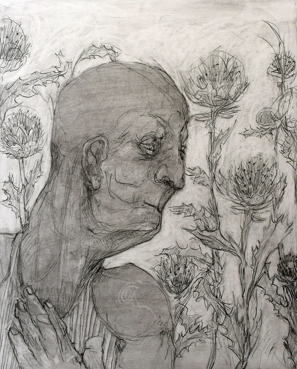 Disteln kann man nicht&nbsp;belügen.